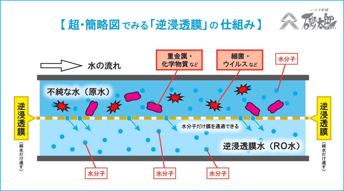 膜構造